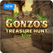 Gonzo’s Treasure Hunt